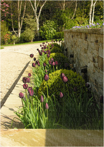 Violet Hill Garden